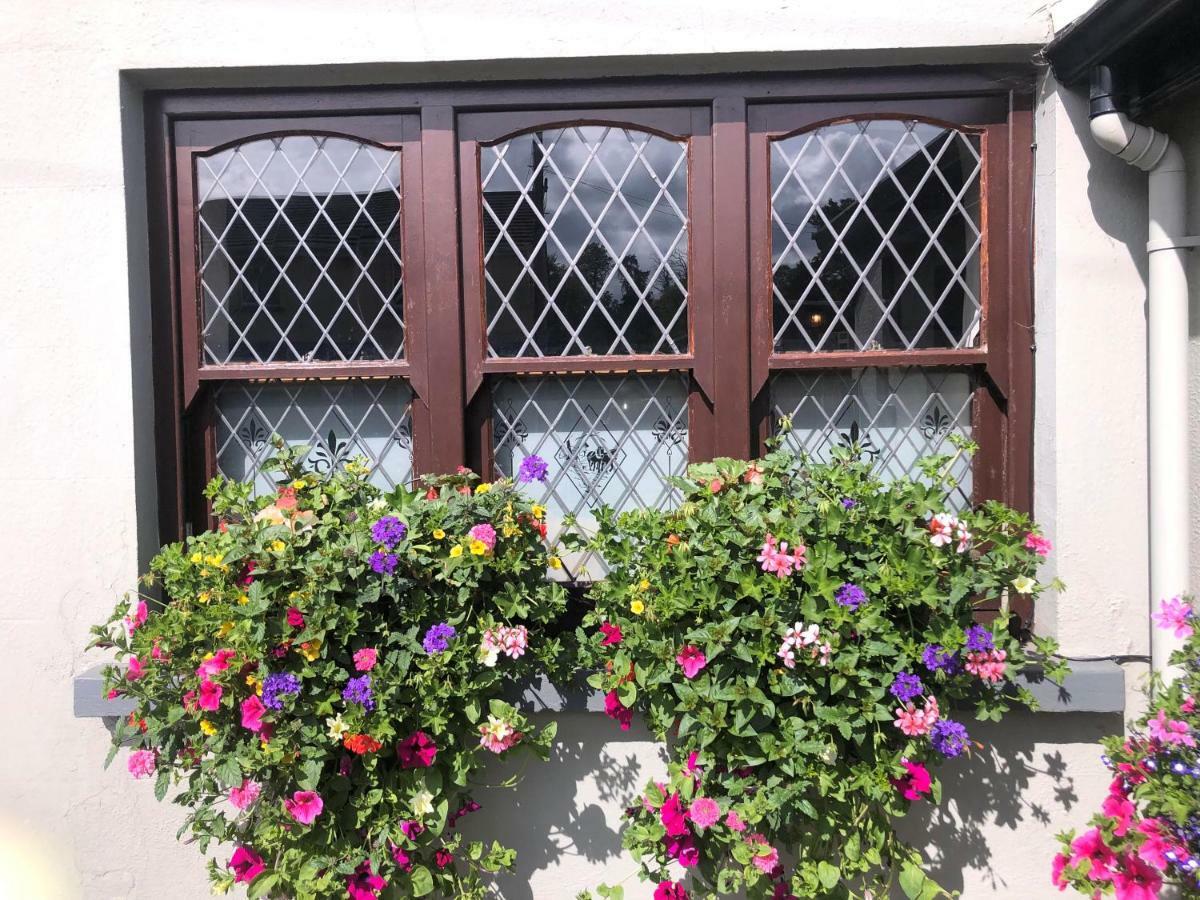 Ashford Chester Beatty Inn מראה חיצוני תמונה